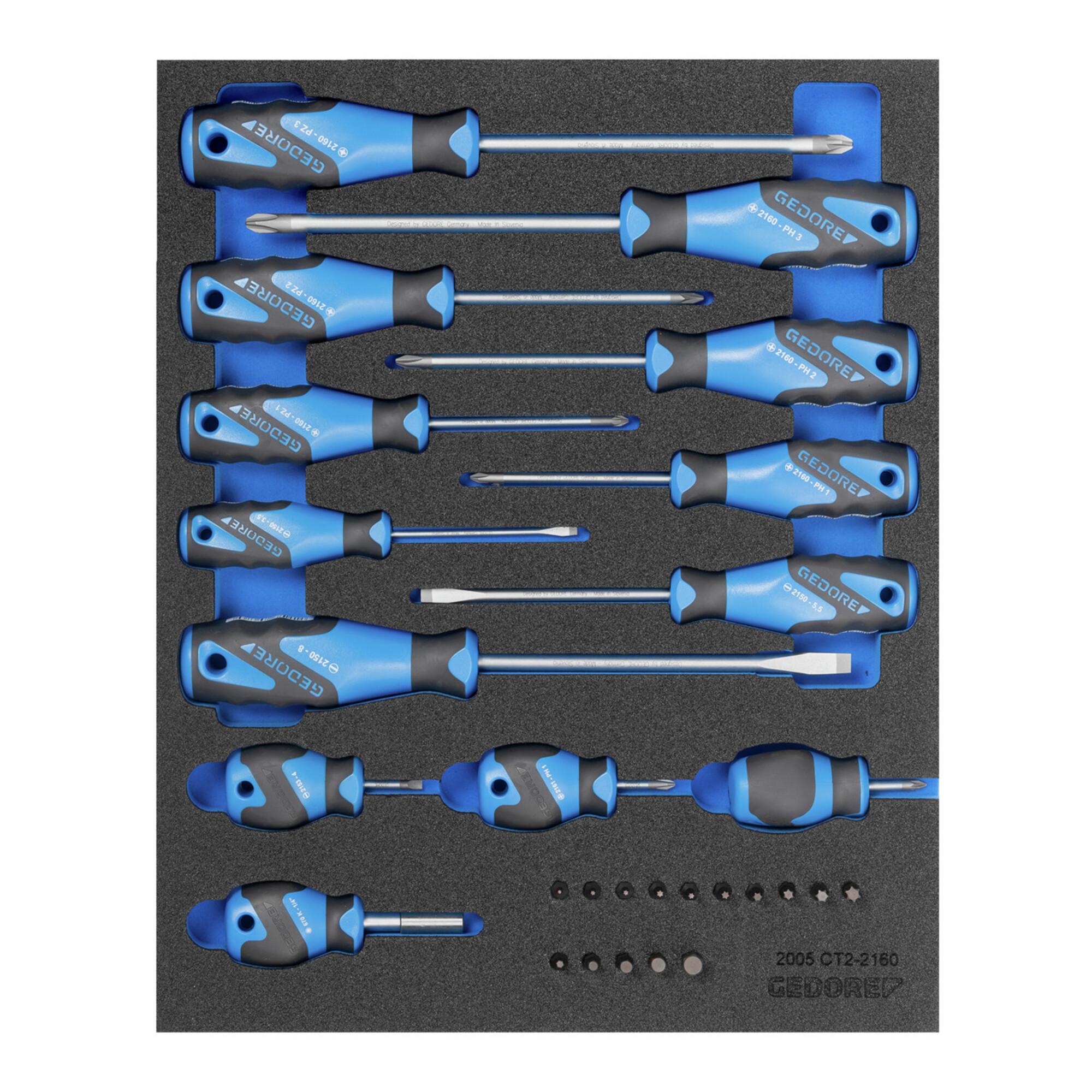 Gedore 2005 CT2-2160 Schraubendreher-Satz in Check-Tool-Modul, 15-teilig (2016311)
