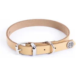 Martin Sellier Hundehalsband aus Leder (40, Hund, Spazieren), Halsband + Leine
