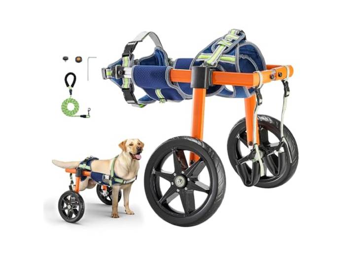 VEVOR Fauteuil roulant léger à 2 roues pour chien - Hauteur réglable - Largeur et longueur - Chariot pour chien avec roues absorbant les chocs - Pour chiens blessés et handicapés