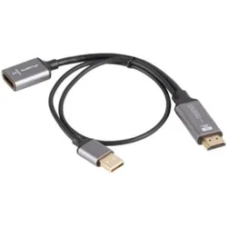 Lanberg AD-HD-DP-02 (Winkeladapter), Video Converter