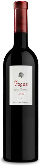 Bodegas Aragonesas Fagus 2023 - 75cl
