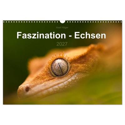 Faszination - Echsen (Wandkalender 2027 DIN A3 quer), CALVENDO Monatskalender