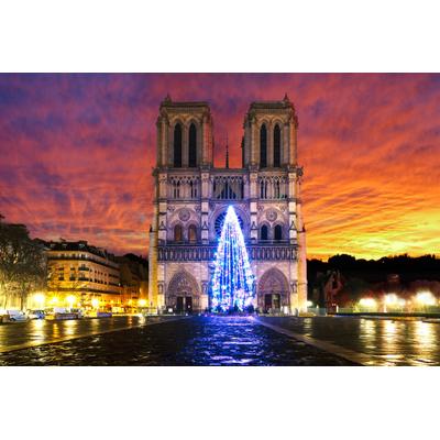 Papermoon "Notre Dame Sonnenaufgang"