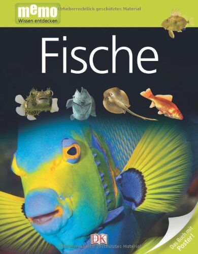 Dorling Kindersley Verlag - memo Wissen entdecken, Band 13: Fische, mit Riesenposter! - Preis vom 13.10.2026 11:25:28 h