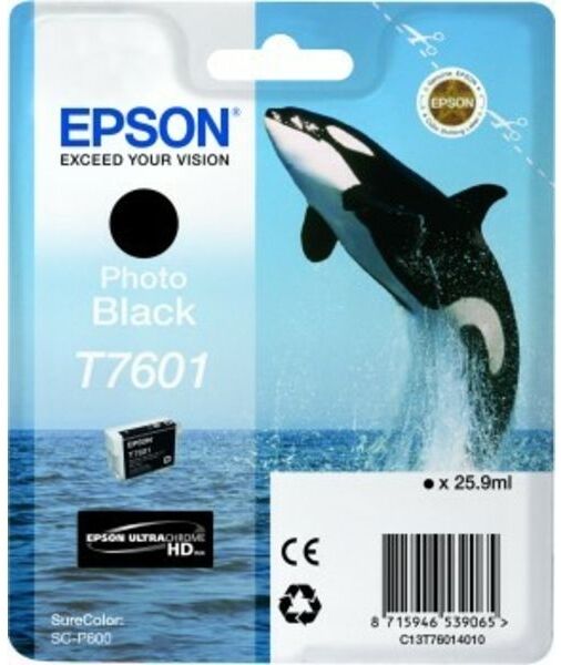 Epson T7601 (C13T76014010) Druckerpatrone Foto-Schwarz