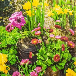 Home Fashion, Spring Garden, Lunch-Servietten aufgefaltetes Maß 33 cm x 33 cm, im Viertelfalz, 20 Stück pro Pack
