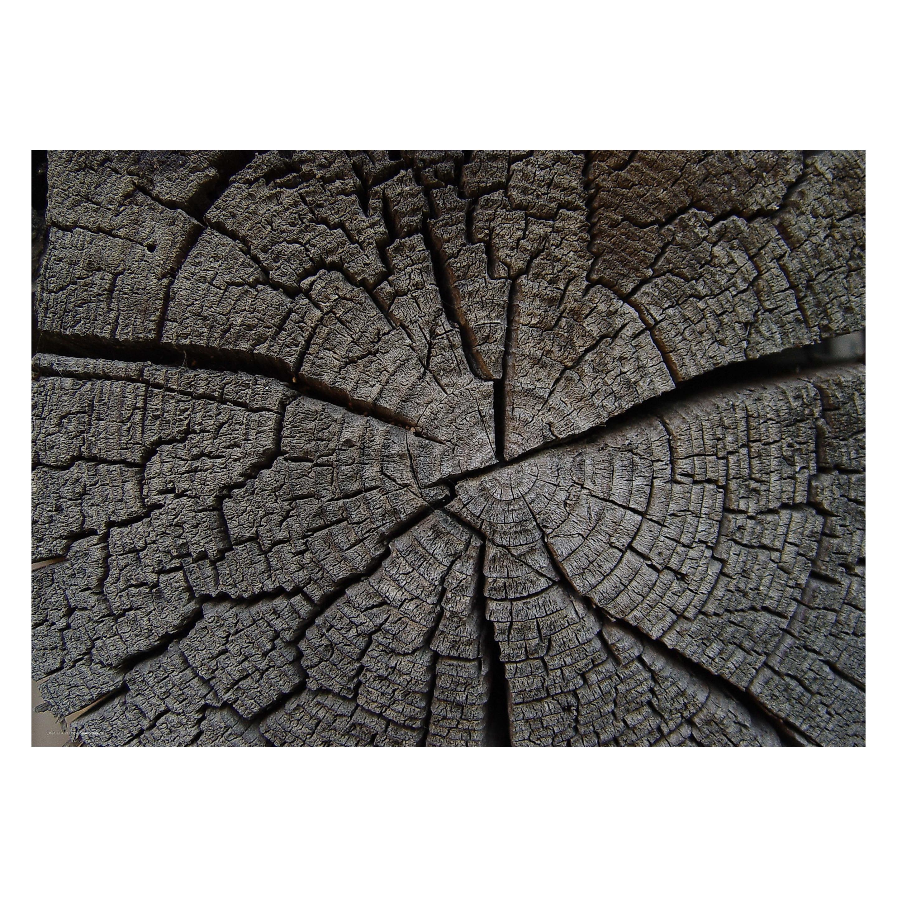 CoverYourDesk Schreibtischunterlage Baumstumpf Holztextur (21557300)