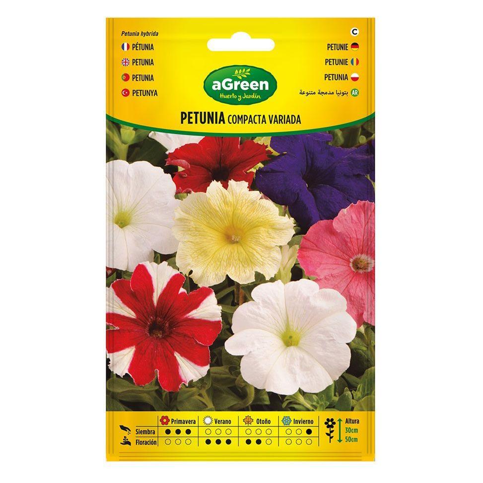 Agreen About variety compact petunia seeds 300678bolsh (Blumensamen) (49376252)