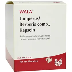 Juniperus/berberis Comp.kapseln 90 St