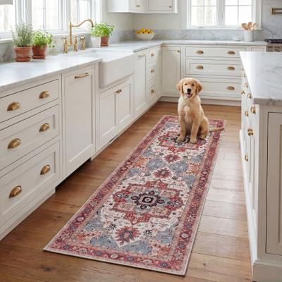 SAFAVIEH Tucson Kersten Transitional Rug