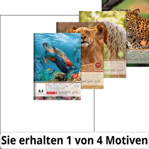 Brunnen Zeichenblock 104791409, A4, 100 g/m², weiß, perforiert, 20 Blatt