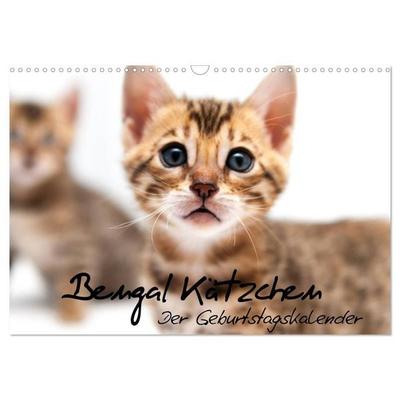 Bengal Kätzchen - Der Geburtstagskalender (Wandkalender 2027 DIN A3 quer), CALVENDO Monatskalender