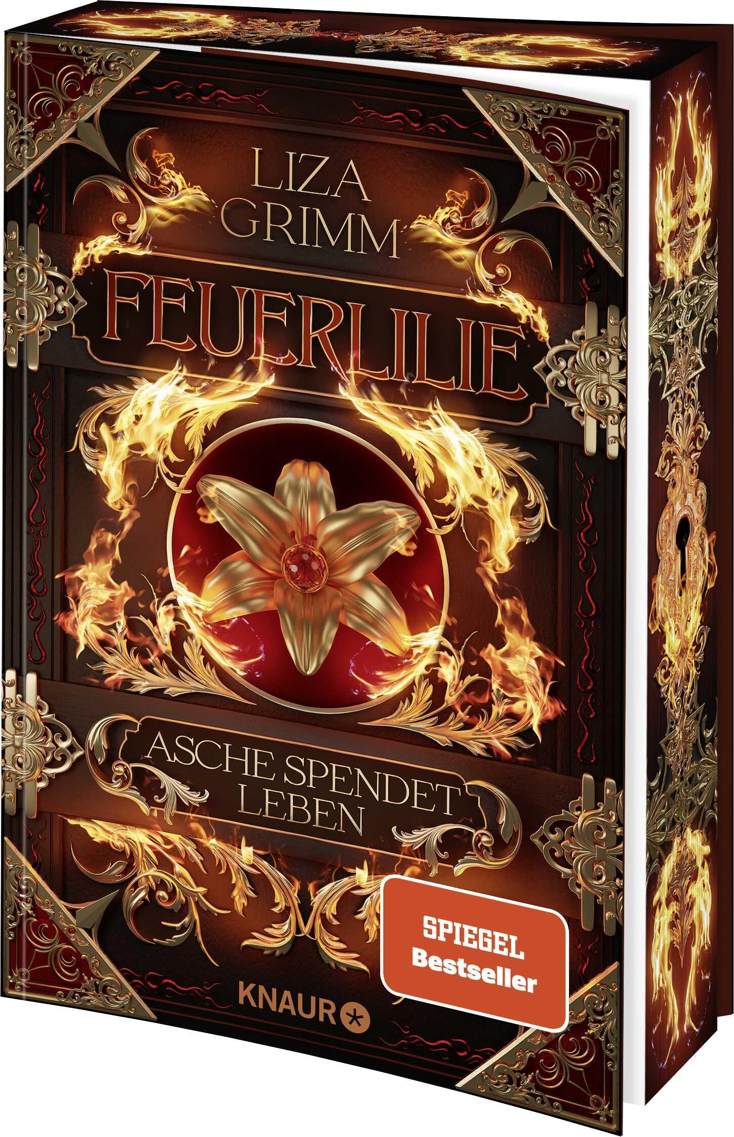 Liza Grimm - Feuerlilie. Asche spendet Leben: Roman Limitierte Auflage mit Farbschnitt Band 2 der High Fantasy-Dilogie um politische Intrigen und Elementarmagie (Die Bücher der Macht, Band 2) - Preis vom 13.10.2026 19:28:25 h