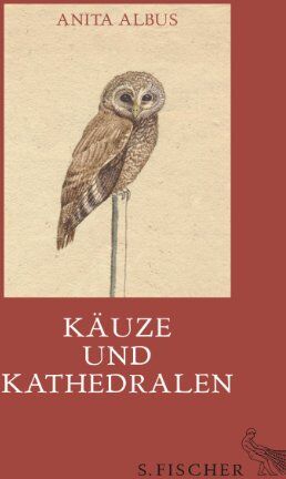 Anita Albus - Käuze und Kathedralen: Geschichten, Essays und Marginalien - Preis vom 10.10.2026 11:48:34 h