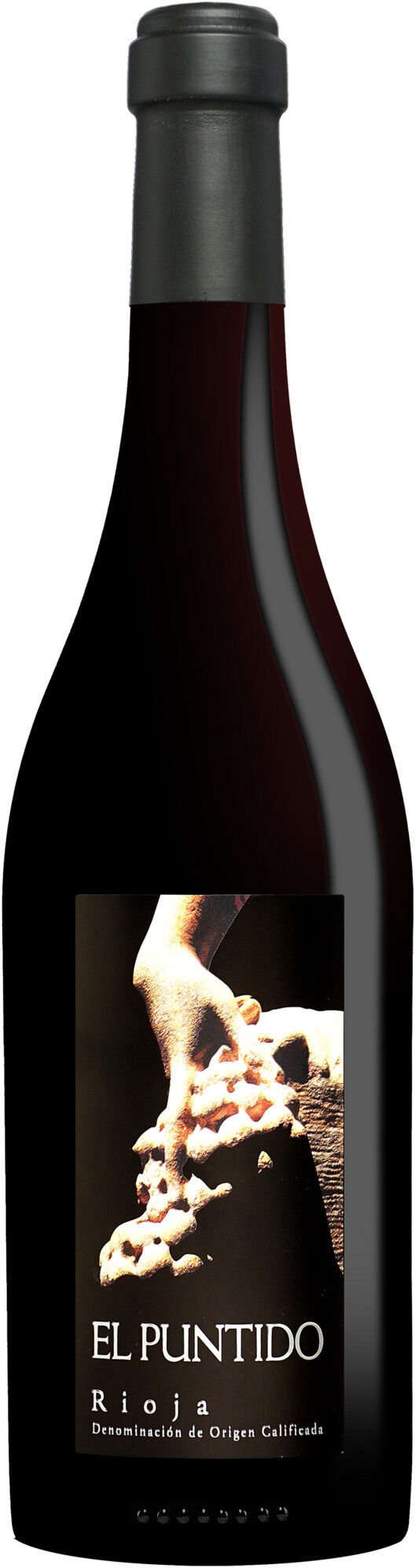 Sierra Cantabria El Puntido 2022 14.5% Vol. Rotwein Trocken aus Spanien