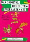 Kraaz von Rohr, Ingrid S. - Das Original Heilblüten - Farbkarten-Set: 77 farbige Karten und Anleitungsbuch. Blütenmedizin nach Dr. E. Bach und Farbtherapie - Preis vom 12.10.2026 11:37:12 h
