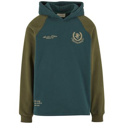 Kapuzensweatshirt ANOTHER COTTON LAB "Another Cotton Lab", Herren, Gr. L, grün, 51% Baumwolle, 49% Polyester, Rundhals, Sweatshirts