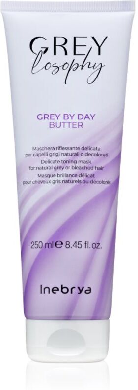 Inebrya Greylosophy Grey By Day Butter masque cheveux pour cheveux gris 250 ml