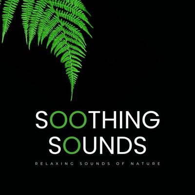 Soothing Sounds - Soothing Sounds, Audio, 4099995444117