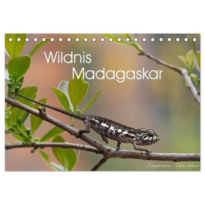 Wildnis Madagaskar (Tischkalender 2027 DIN A5 quer), CALVENDO Monatskalender