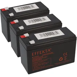 Akkuman 3x Effekta BT 12-9,5K AGM Akku 36V 9,5Ah – passend für Dreirad, E-Scooter & Elektroroller