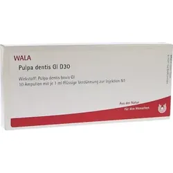 Pulpa dentis Gl D30 Ampullen 10X1 ml Ampullen