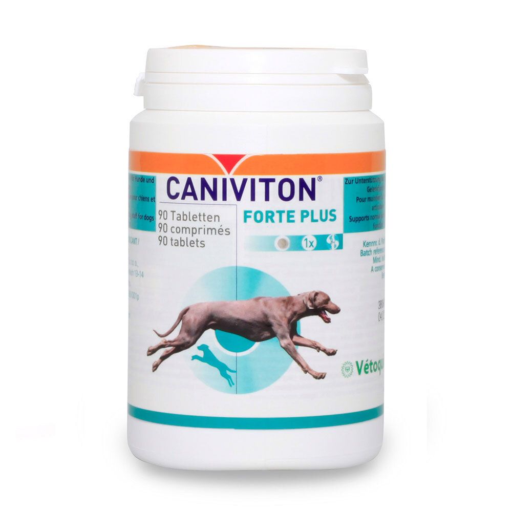 Caniviton Forte Plus Erg.Futterm.Tbl.f.Hund/Katze 90 St Tabletten