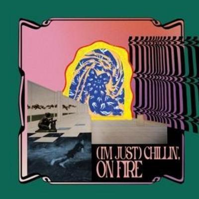 Carlos Ni¤o & Friends: (I'm Just) Chillin';On Fire - Carlos Nino & Friends, CD