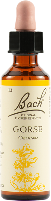 Schwabe Pharma Italia Gorse Bach Original 20 Ml