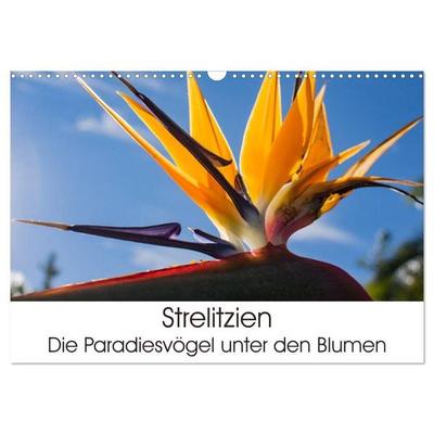 Strelitzien - die Paradiesvögel unter den Blumen (Wandkalender 2026 DIN A3 quer), CALVENDO Monatskalender