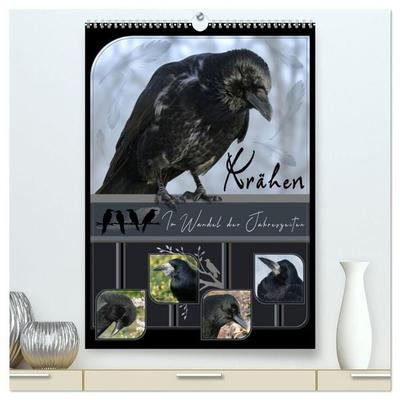 Krähen - Im Wandel der Jahreszeiten (hochwertiger Premium Wandkalender 2027 DIN A2 hoch), Kunstdruck in Hochglanz