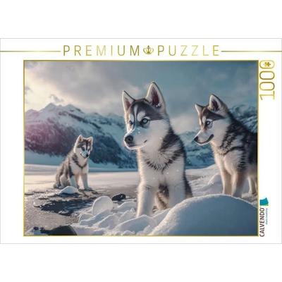 CALVENDO Puzzle Junge Huskywelpen | 1000 Teile Lege-Größe 64x48cm Foto-Puzzle für glückliche Stunden