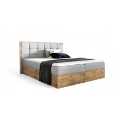 BOXBETT Kalypso Faro