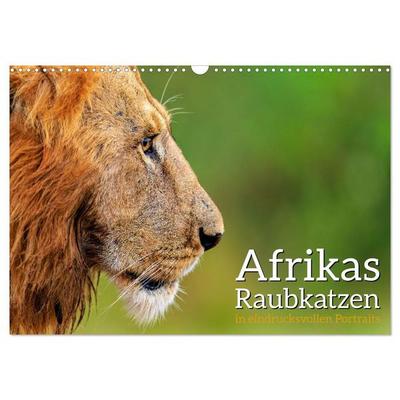 Afrikas Raubkatzen in eindrucksvollen Portraits (Wandkalender 2027 DIN A3 quer), CALVENDO Monatskalender