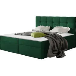 BOXBETT Nele - H3