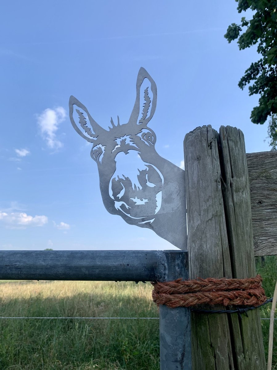 Cortenstaal tuin decoratie De Ezel - Vrijstaande metalen versiering voor volwassenen