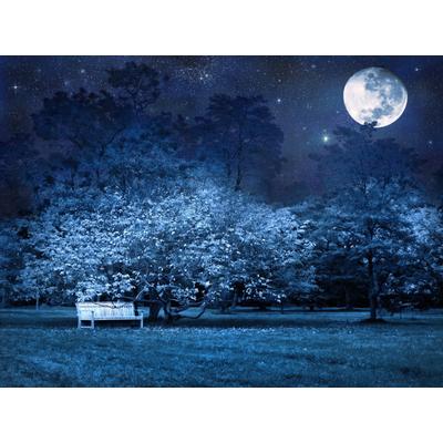 Fototapete PAPERMOON "VOLLMOND-PARK MOND STERNE NACHT WALD BÄUME MYSTISCH", bunt, B:4m L:2,6m, Vlies, Tapeten