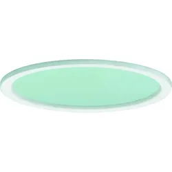 Ridi-Leuchten Dekorglas DR195-MPS-G-D-W