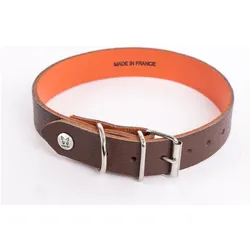 Martin Sellier Allure (40, Hund, Spazieren), Halsband + Leine