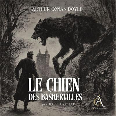Le Chien des Baskerville. Sherlock Holmes - Livre Audio - Arthur Conan Doyle,Livres audio en français,Sherlock Holmes, Audio, 4069828036918