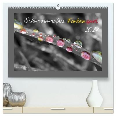Schwarzweißes Farbenspiel 2027 (hochwertiger Premium Wandkalender 2027 DIN A2 quer), Kunstdruck in Hochglanz