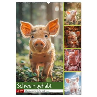 Schwein gehabt (Wandkalender 2026 DIN A2 hoch), CALVENDO Monatskalender