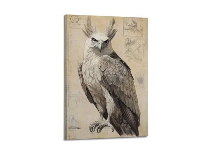 XYSXYCP Wandkunstdruck, Tierposter, Baldachin, Wächter – Harpyienadler in Da Vincis Skizzen (1), moderne Familiendekoration für Wohnzimmer, 50 x 75 cm