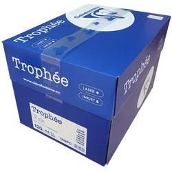 Clairefontaine, Kopierpapier, Karton mit cremeweissem A4-Papier 120 Gramm Trophée (A4, 250 Blätter, 120 g/m2)