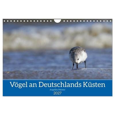 Vögel an Deutschlands Küsten (Wandkalender 2027 DIN A4 quer), CALVENDO Monatskalender