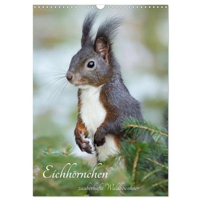 Eichhörnchen - zauberhafte Waldbewohner (Wandkalender 2027 DIN A3 hoch), CALVENDO Monatskalender
