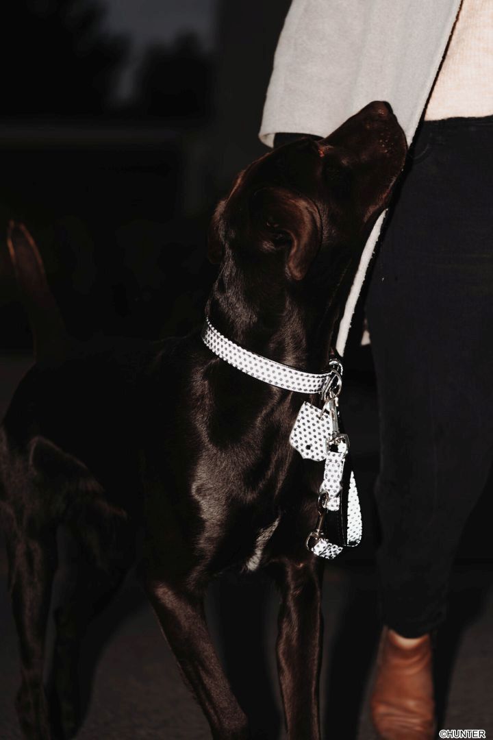 DOG SPORT HUNTER Verstellbare Führleine Hella Reflect 15/200, schwarz