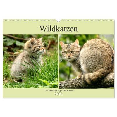 Wildkatzen - Die lautlosen Jäger des Waldes (Wandkalender 2026 DIN A3 quer), CALVENDO Monatskalender
