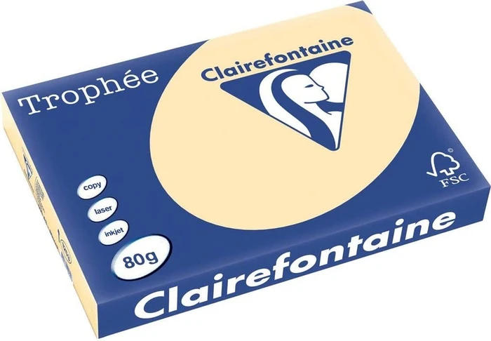 Clairefontaine Kopierpapier Trophée chamois DIN A3 80 g/qm 500 Blatt