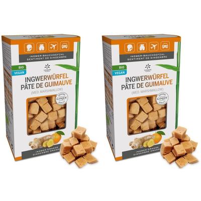 Ingwer Ginjer ORA Bio 2x 2x60 g Würfel